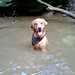 Kelly Everett Photo 21