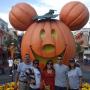 Norma Benavidez Photo 15