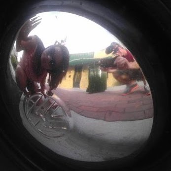 Kellie Beck Photo 24