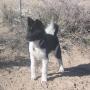 Sue Andersen Photo 17