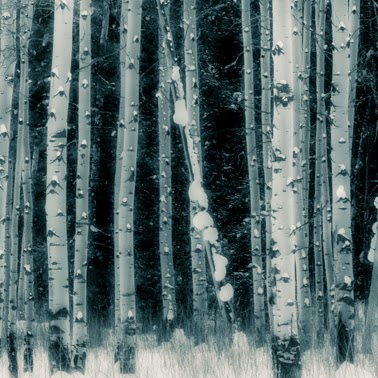 Anthony Porto Photo 25