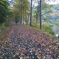 Lori Sines Photo 7