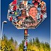 Jr Shepard Photo 14
