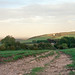 Jill Hill Photo 9