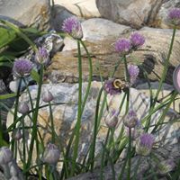Cindy Vanmeter Photo 10