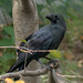 Daniel Corby Photo 15