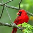 Sanjaykumar Patel Photo 13