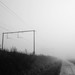 Leonard Winters Photo 13