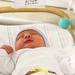 Thomas Conner Photo 31