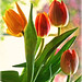 Cynthia Miles Photo 37