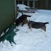 Heather Elston Photo 24