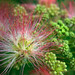 Bud Pierce Photo 13