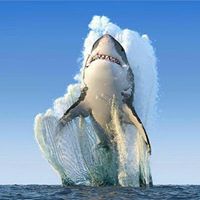 Steve Alexander Photo 32