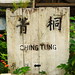Ching Tung Photo 10
