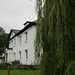 Dorothy Hill Photo 14
