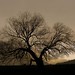 Ray Kirby Photo 3