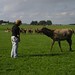 Susie Rowe Photo 16