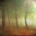 Misty Gardner Photo 17