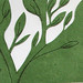 Patricia Samples Photo 14