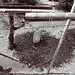 James Luckett Photo 35
