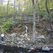 Tom Magnuson Photo 17