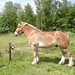 Doris Weis Photo 9