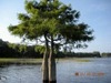 Shirley Gardner Photo 17