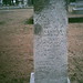 William Mckinney Photo 33