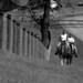 Jason Haskins Photo 42
