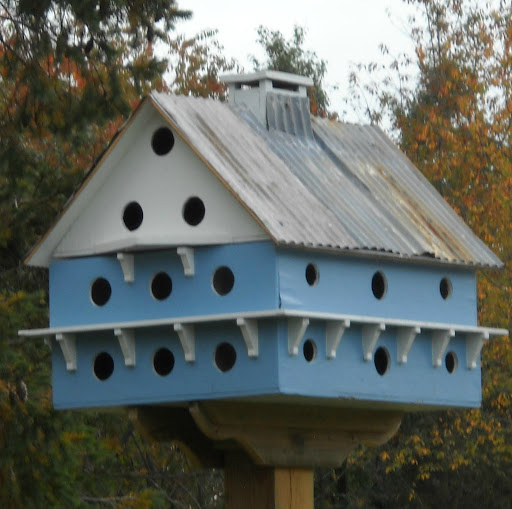Alice Erickson Photo 32
