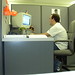 Mark Bascom Photo 5