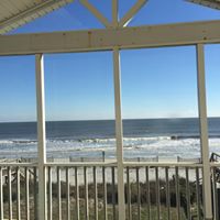 Susan Timmons Photo 24
