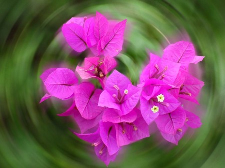 Connie Workman Photo 15
