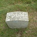 Susan Lester Photo 38
