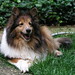 Sandy Ivy Photo 15