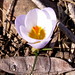Nancy Kent Photo 16