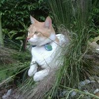 Dawn Daugherty Photo 20