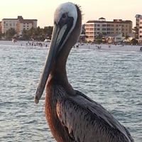 Joe Asbury Photo 21