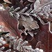 Heather Frost Photo 21