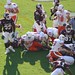 Michael Mayes Photo 39