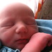 Debbie Landers Photo 15