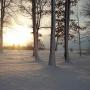 Kimberly Wolf Photo 40
