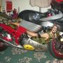 Andrew Colucci Photo 11