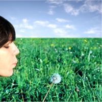 Sarah Weininger Photo 1