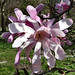 James Plant Photo 13