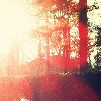 Andreza Fernandes Photo 6