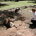 Angela Roos Photo 22