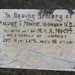 Maurice Moore Photo 28