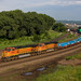 Paul Stack Photo 8