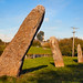 Harold Stone Photo 20